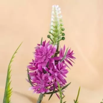 Букет "Лаванда" 31 см, микс (в напылении)