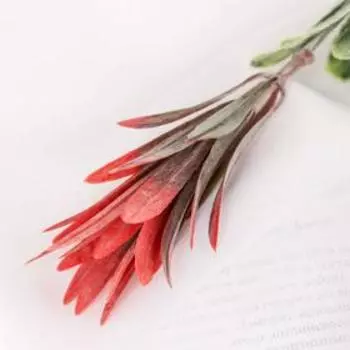 Букет "Листовик" 26 см, микс с напылением