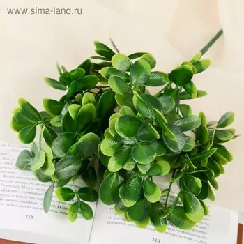 Букет искусственный «Мелколист ребристый», h=24 см