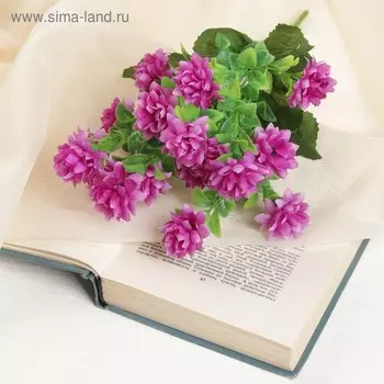 Букет "Мексинканский георгин" 3*30 см, микс