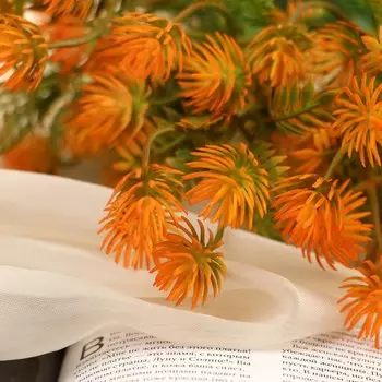 Букет «Муррайя», 26 см, МИКС