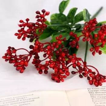 Букет «Нертера», 24 см, МИКС