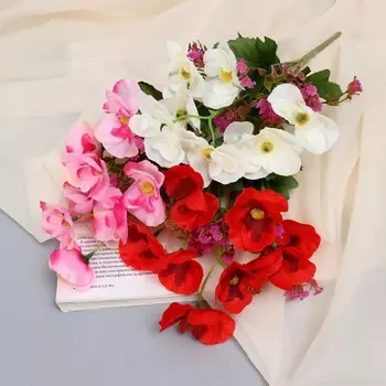 Букет «Нимезия галант», 527 см, МИКС