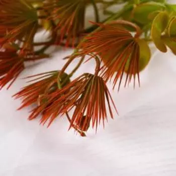 Букет "Оболонь" 30 см, микс