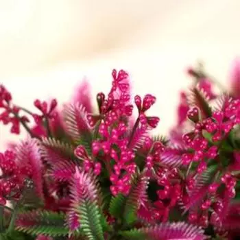 Букет искусственный «Осенние зонтики», 30 см, МИКС