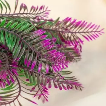 Букет искусственный «Папоротник», 35 см, МИКС