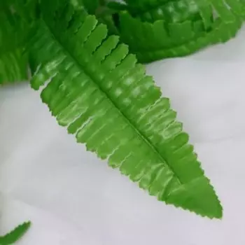 Букет "Папоротник Нефролепис" 26 см