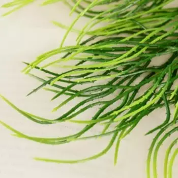 Букет искусственный «Папоротник узкий», 26 см