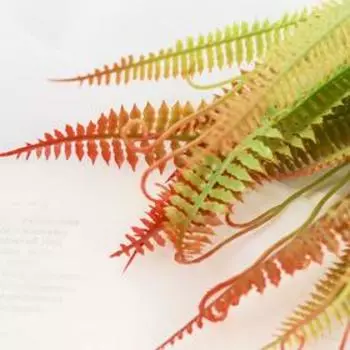 Букет "Папоротник завитой" 32 см, микс