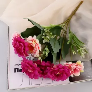 Букет «Пеларгония пышная», 529 см, МИКС