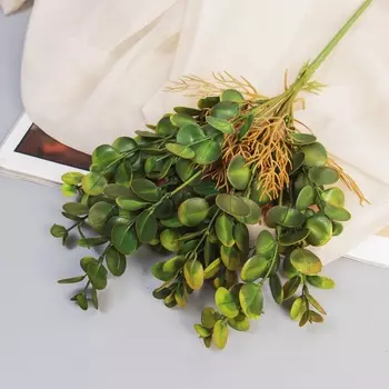 Букет искусственный «Пеперомия элит», 32 см, МИКС