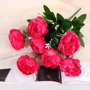 Букет «Пион Аверилл», 530 см, МИКС