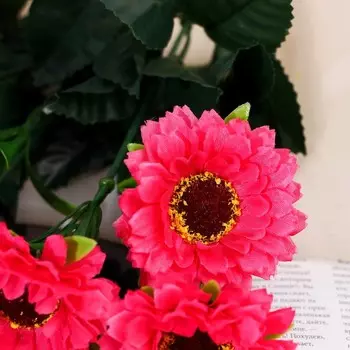 Букет "Пион древовидный" 5х32 см, микс