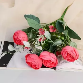 Букет «Пион Камден», 430 см, МИКС