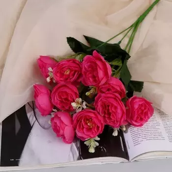 Букет «Пион Кирби», 433 см, МИКС