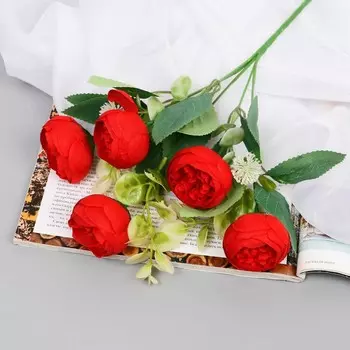 Букет «Пион Одри», 530 см, МИКС