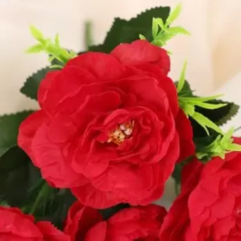 Букет «Пионы», 26 см, МИКС