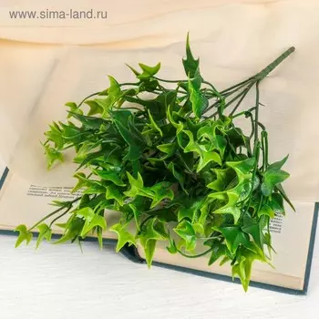Букет «Плющ», 25 см