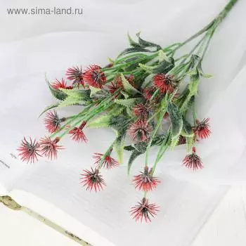 Букет "Пустынный василёк" 35 см с напылением микс