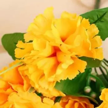 Букет «Пышные гвоздики», 30 см, МИКС