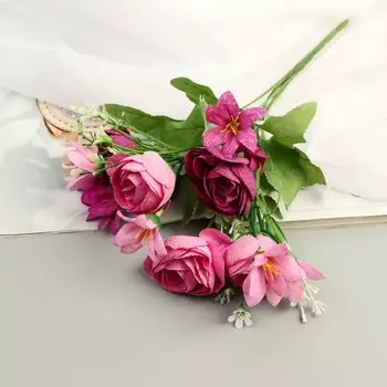 Букет «Ранункулюс мраморный», 527 см, МИКС