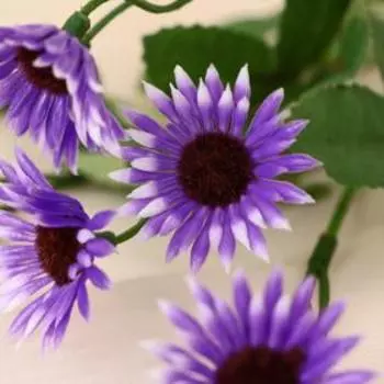 Букет "Ромашка острая" 28 см, микс