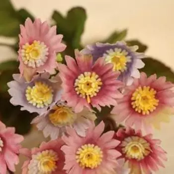 Букет «Ромашки», 27 см, МИКС