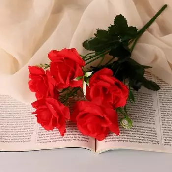 Букет «Роза Диксон», 627 см, МИКС