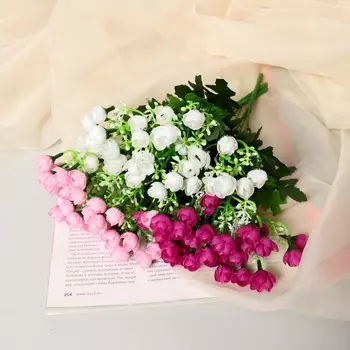 Букет «Роза Клер галант», 24 см, МИКС