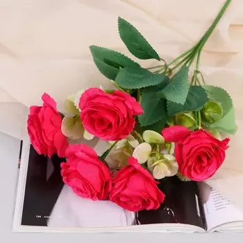 Букет «Роза Морлей», 627 см, МИКС