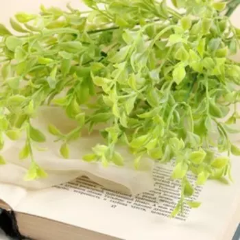 Букет "Рускус мини" 28 см, микс