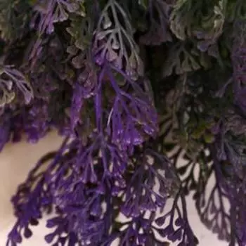 Букет "Сеанотус" 33 см микс