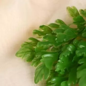 Букет "Селагинелла" 28 см