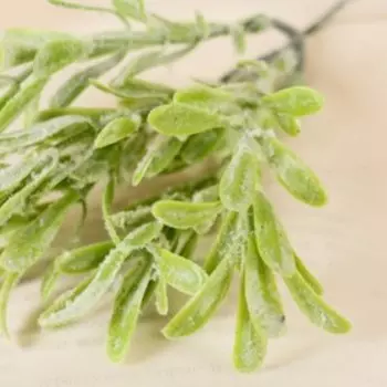 Букет "Шалфей" 21 см, микс