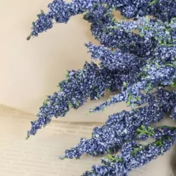 Букет искусственный «Травка лечебная», h=35 см