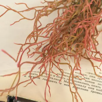 Букет "Волнистая травка" 34 см, микс