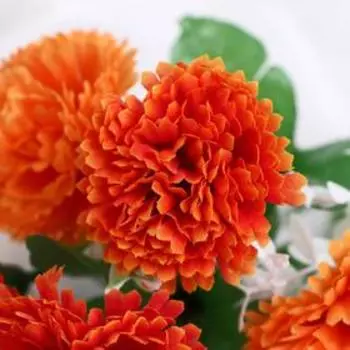 Букет "Яркая гвоздика" 28 см, микс