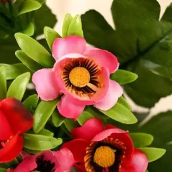 Букет "Яркие анемоны" 25 см, микс