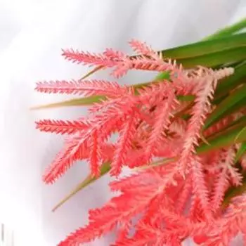 Букет "Яркие колючки" 40 см, микс