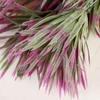 Букет "Зонтики" 30 см, микс