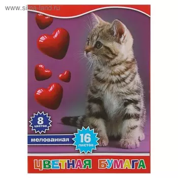 Бумага цветная А4, 16 листов, 8 цветов "Котенок и сердечки", односторонняя мелованная
