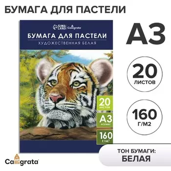 Бумага для пастели А3, 20 листов "Тигр", блок 160 г/ г/м, в папке