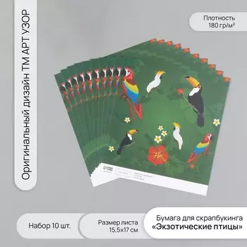 Бумага для скрапбукинга «Экзотические птицы», плотность 180 г, набор 10 шт., 15.517 см