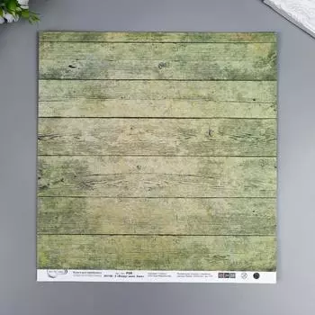 Бумага для скрапбукинга Mr.Painter "Вокруг меня Хаки 2" 30,5x30,5 см, 190 гр/м2