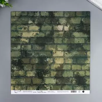 Бумага для скрапбукинга Mr.Painter "Вокруг меня Хаки" 30,5x30,5 см, 190 гр/м2