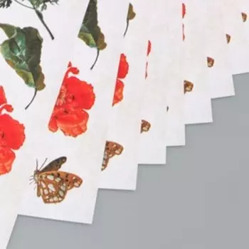 Бумага для скрапбукинга Сад "Муза" 30,5х30,5 см, 190 гр/м2