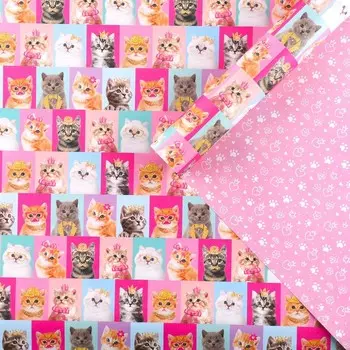 Бумага упаковочная двухсторонняя крафтовая «Коты», 70 х 100 см