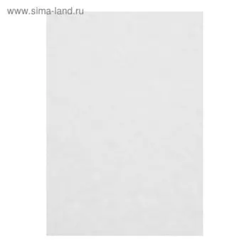 Бумага рисовальная А4, 100 листов, 200 г/м