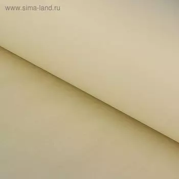 Бумага тишью "Кремово-белый", 50 х 76 см, 24 шт.