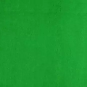Бумага тишью "Зелёная", 50 х 76 см, 24 шт.